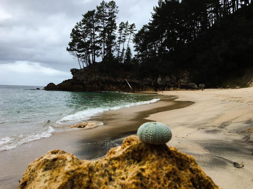 Whangamata Vistas B&B Kültér fotó